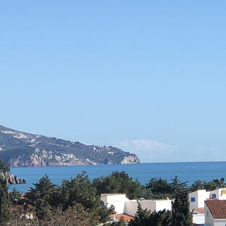 Apartment Veselin Budva Luaran gambar